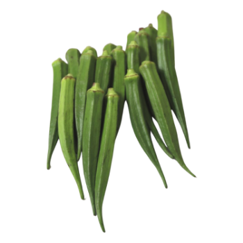 Fresh Okra OEM New Crop Using For Many purposes TCVN packing in carton Made in Vietnam Manufacturer 3