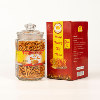 Raw Cordyceps Extract Good Quality Organic Certified Cordyceps Meaningful Gift Cordyceps Made in Vietnamese Manufacturer 3