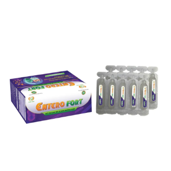 Entero Fort Health Supplements For Wholesale High Quality Protection Premium Quality Customized Packaging Vietnam Manufacturer Reasonable Price 4