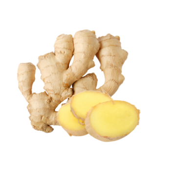 Fresh Ginger Fresh High Quality  Smells Good Food Vinagreen Carton Box Plastic Wrap Vietnam Manufacturer