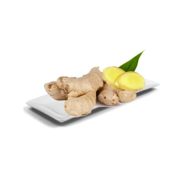 Fresh Ginger - Premium Quality Root for Cooking & Health | Aromatic, Flavorful, and Versatile | Ideal for Recipes & Remedies