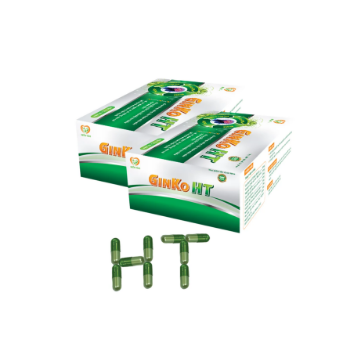 Wholesale Organic Herbal Supplement Ginko HT Pharmaceutical OEM ODM Customized Packaging Vietnam Manufacturer Factory Price 2