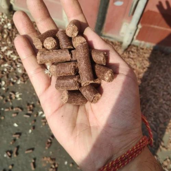 High Quality Biomass Fuel Manufacturer 100% Natural Material Cashew Husk Pellet Factory Heat Bulk In Container Made In Vietnam 1