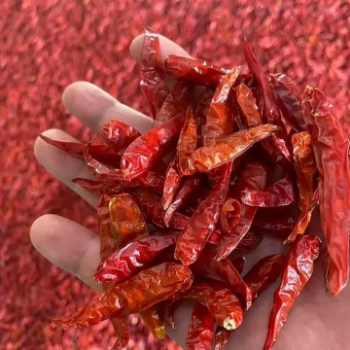 High Quality Blended Fresh/Dry Chili Export Wholesale Competitive Price with Free Tax