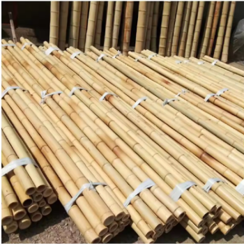 High Quality Natural Straight Bamboo Pole For Building/ Plant Support Raw Materials For Various Products/ For Fences Partitions 5