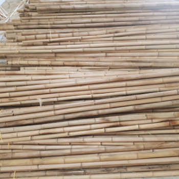 High Quality Natural Straight Bamboo Pole For Building/ Plant Support Raw Materials For Various Products/ For Fences Partitions 6