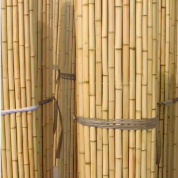 High Quality Natural Straight Bamboo Pole For Building/ Plant Support Raw Materials For Various Products/ For Fences Partitions 4