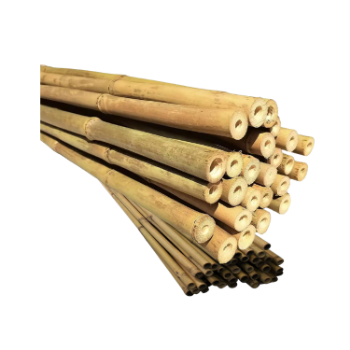 High Quality Natural Straight Bamboo Pole For Building/ Plant Support Raw Materials For Various Products/ For Fences Partitions 1