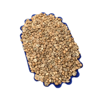 High-Quality Robusta Green Coffee Beans from Vietnam Direct from Vietnam Factory Wholesale Price Certified ISO 22000:2018