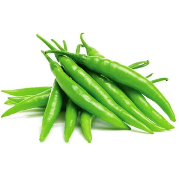 Hot Selling High Quality Fresh Green Chilli Pepper from Vietnam Spicy Herb Spice with Freezing Process IQF for Export
