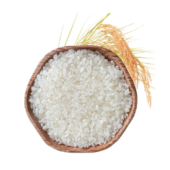 Japonica Rice (Short Grain/ Sushi) Premium Short Grain Perfect for Sushi, Sticky Rice Dishes & More Jasmine Aromatic Sushi Rice