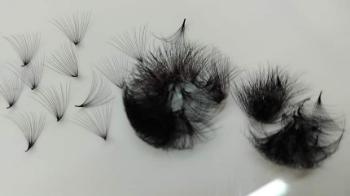 Eyelash extension loose premade fan lash 100%PBT mink high quality custom in Vietnam factory  2