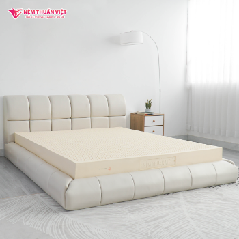 Machine Latex Mattress Topper Foam Latex Mattress Making Mattress Quality Value From Viet Nam Manufacturer Latex Queen Size 2