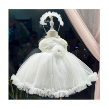 Mesh Princess Dress For Girl Cinderella Cheap Price New Design Using For Baby Girl Pack In Plastic Bag from Asian Manufacturer 2