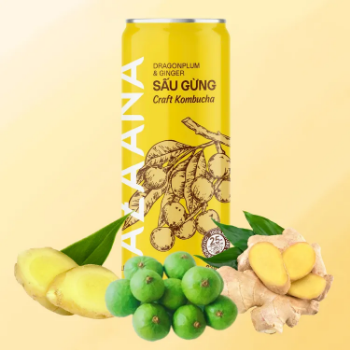 Natural Kombucha Fast Delivery Vietnamese Sau Fruit And Ginger Healthy Drinks Fermented Oem Soft Drink Vietnam Manufacturer