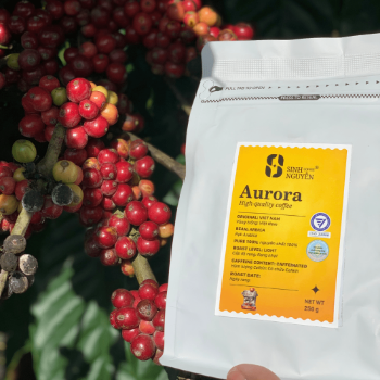 OEM/ODM Aurora 1kg Premium Roasted Arabica Coffee by Vietnamese Manufacturer Medium Roast Perfect Brew Whole Bean