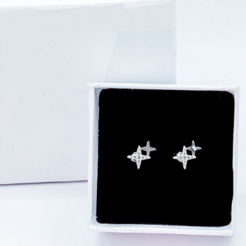 OEM ODM Service S925 Sterling Silver Fine Jewelry Star Cubic Zirconia Stud Earrings Trendy Earrings for Girl Woman 6