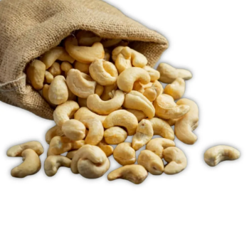 Organic Cashew Nuts Roasted Salted Hot Seller Polaris Agri Use Instantly OEM Made In Vietnam Manufacturer Good Quality