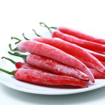 Frozen Red Chili Peppers Single Spices & Herbs Wholesale from Vietnam