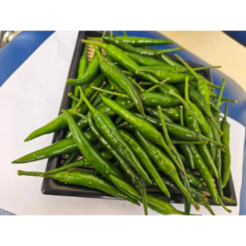 Premium Spicy Green Chili Fresh Food Grade from Vietnam Best Trade for Single Spices & Herbs