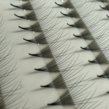 Premade lash Fan 3D-20D eyelash 6mm-20mm C CC D L M curve 1000 fans/box handmade high quality  4