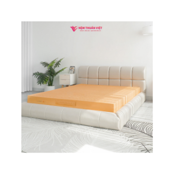 Queen Size 5CM Thick Natural Latex Mattress Topper Effective Deodorizing Memory Foam Fabric Bedroom Hospital Furniture Vietnam