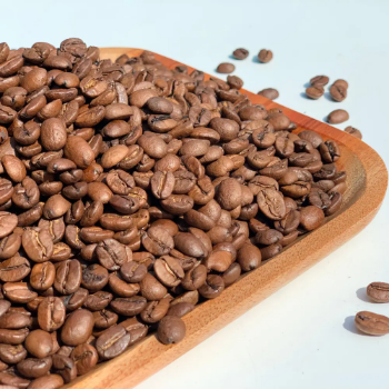 Reasonable Price Premium Roasted Robusta Coffee Beans Arabica Medium Roast Phin Coffee Honey Taste Made In Vietnam Manufacturer