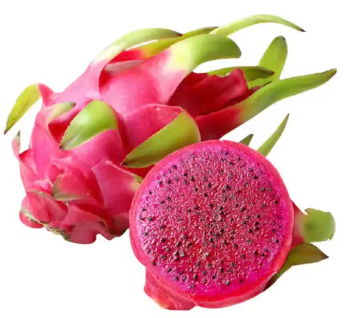 RED DRAGON FRUIT HIGH QUALITY FRESH DRAGON FRUIT WHOLESALE PRICE FROM FARM IN VIETNAM 100% FREE TAX