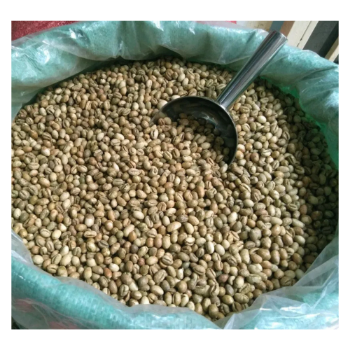 Robusta Wholesale Raw Coffee Beans Bean To Cup Coffee Green Packaging Manufacture Competitive Price