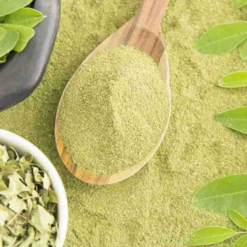 Pure Moringa Powder Organic Grapefruit Seed Extract Powder Organic Grapefruit Juice Powder From Viet Nam Manufacturer 3