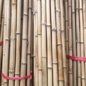 Straight Raw Green Garden Bamboo Stakes For Plant Support Farm Garden Decoration Natural Straight Bamboo Pole 2