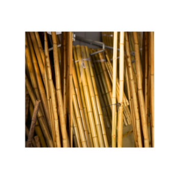 Straight Raw Green Garden Bamboo Stakes For Plant Support Farm Garden Decoration Natural Straight Bamboo Pole 1