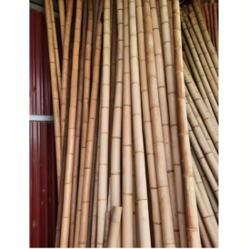 Straight Raw Green Garden Bamboo Stakes For Plant Support Farm Garden Decoration Natural Straight Bamboo Pole 3