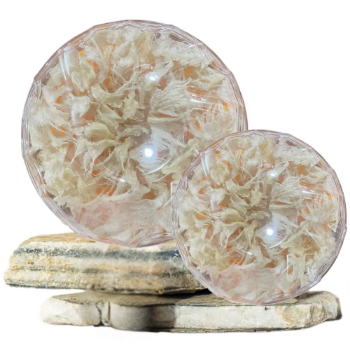 Swallow Bird Nest Price Best Seller Health Other Food & Beverage Premium Bird's Nest Strips Bird Nest Fresh Made In Vietnam