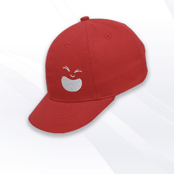 The New Season For Wholesale Baseball Hats Embroidery Caps Embroidered Modern Packed In Carton From Vietnam Manufacturer