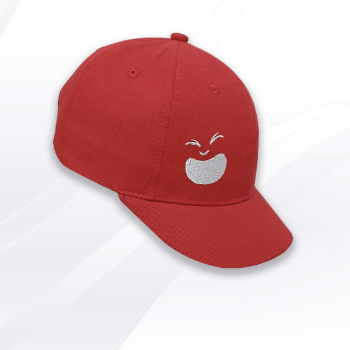 The New Season For Wholesale Baseball Hats Embroidery Caps Embroidered Modern Packed In Carton From Vietnam Manufacturer 2