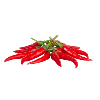 Top Vietnam Manufacturer Fresh Chili High Quality Red Chili Spicy Taste For Food Use Best Price