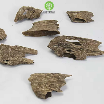 Good Quality Ant Wood Oud Chips Special from Vietnam Pleasant Scent Hand Crafting Grade AA+ 3