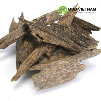 Good Quality Ant Wood Oud Chips Special from Vietnam Pleasant Scent Hand Crafting Grade AA+ 8