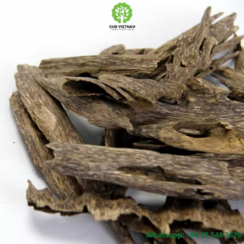 Good Quality Ant Wood Oud Chips Special from Vietnam Pleasant Scent Hand Crafting Grade AA+ 9