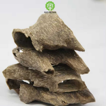 Good Quality Ant Wood Oud Chips Special from Vietnam Pleasant Scent Hand Crafting Grade AA+ 4