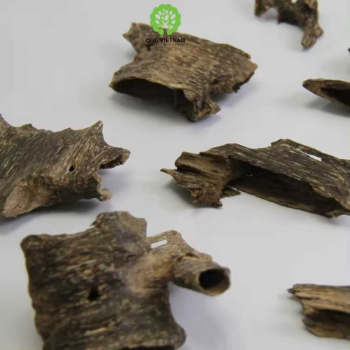 Good Quality Ant Wood Oud Chips Special from Vietnam Pleasant Scent Hand Crafting Grade AA+ 6