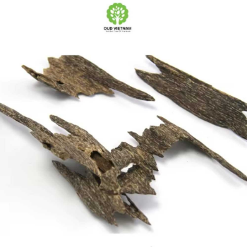 Natural Ant Oud Premium Agarwood Chips Super Grade Tripple A Resin Oudh Incense Fragrance Sweet Full Oil 2