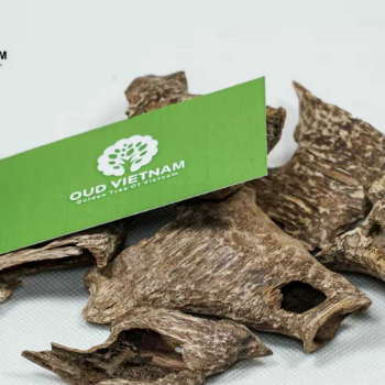 Oud wood chip Burner relaxation Religion Incense Long Lasting Fragrance Plastic Box Vietnam Manufacturer 4