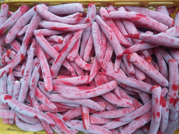 Vegetables And Fruits Frozen Chilli High Quality  New Crop Follow the Customer's Requirement Made in Vietnam Manufacturer 5