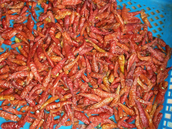 Viet Nam Dried Red Pepper Cheap Price Type 10-13% Max. Moisture All year round 4