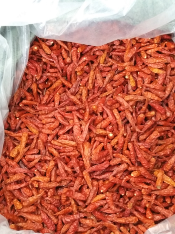 Viet Nam Dried Red Pepper Spicy AD Drying Process Common Cultivation Type 10-13% Max. Moisture All year round 4