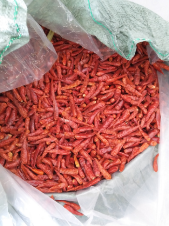 Viet Nam Dried Red Pepper Spicy AD Drying Process Common Cultivation Type 10-13% Max. Moisture All year round 2