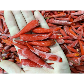 Vietnam Best Value Frozen Green Chili for Spicy Foods Top Cheap Price Now