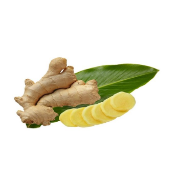 Vietnam Product Frozen Ginger 50-100gram up/ whole, slice frozen foods production line vegetables packs bulk 1